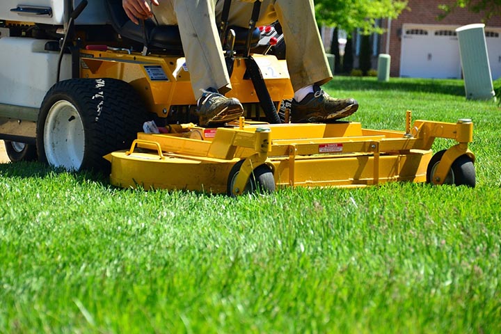 revitalize lawn